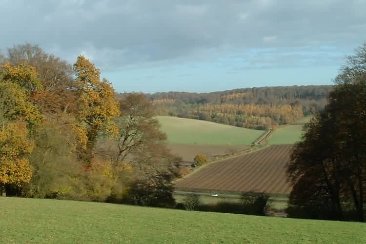 Over the Saunderton valley