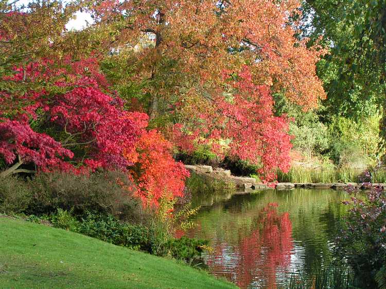 Cliveden House Gardens