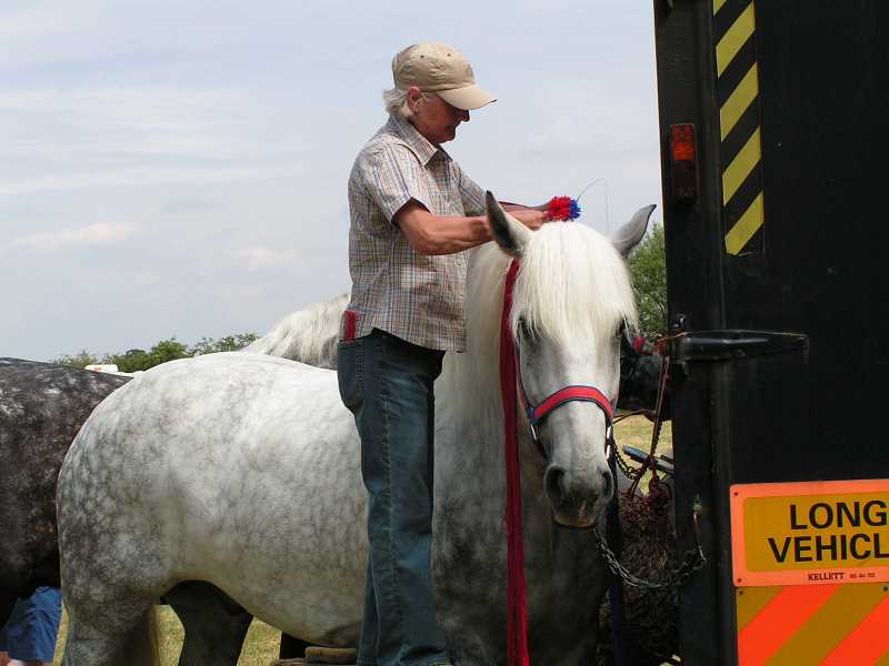 Horses at Great Bucks Steam Rally