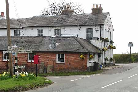 Pink and Lily Inn
