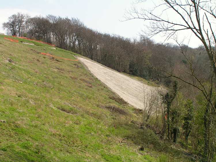 Whiteleaf Cross