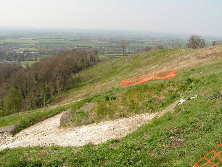 Whiteleaf Cross