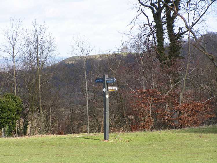 Beacon hill from the top of Whiteleaf Cross