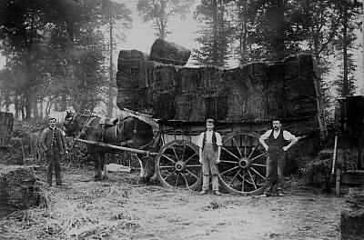 Loading a waggon with hay. Picture from a local source