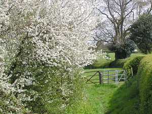 kissing gate near Kiln Lane