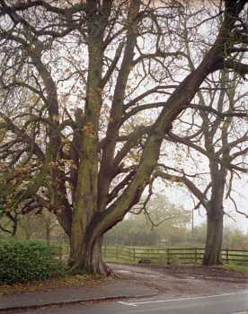 Entrance to Stocken Farm