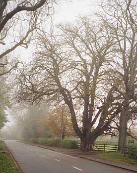 Entrance to Stocken Farm